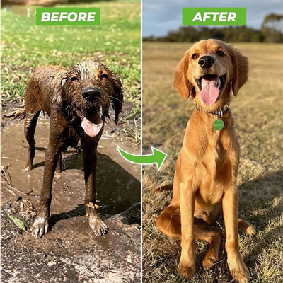Pawsential Spray Pro